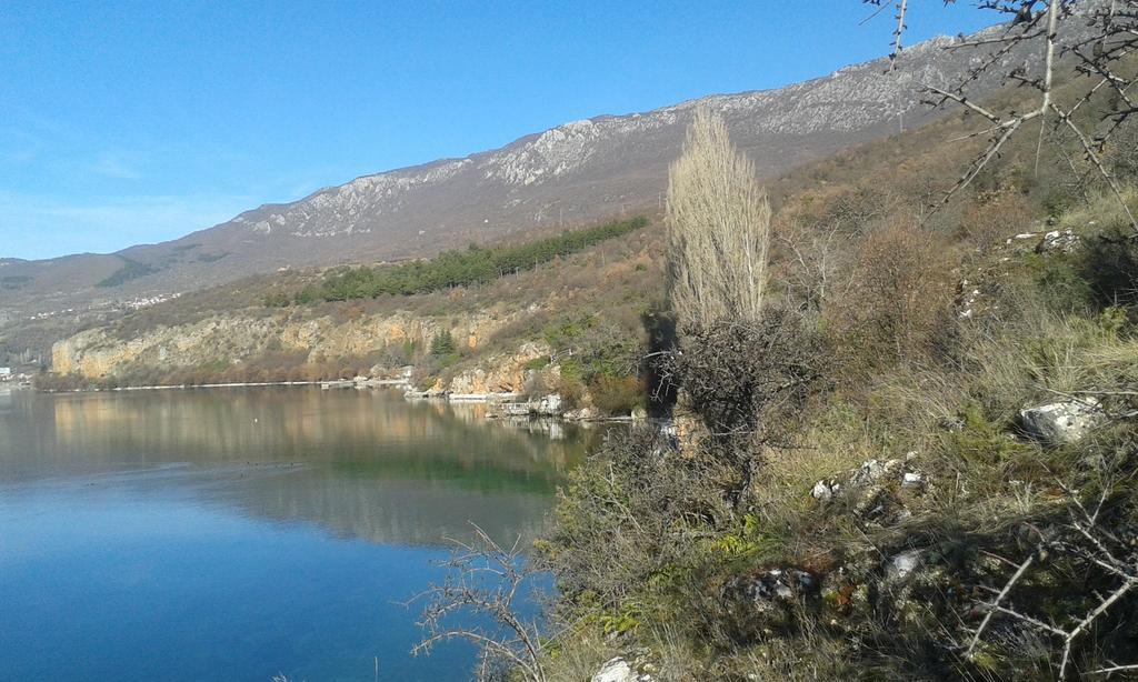 Villa Mimi Peštani Buitenkant foto