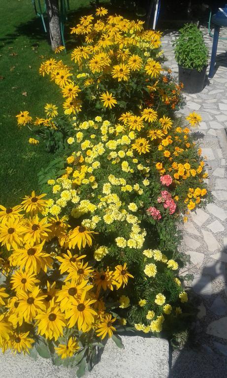 Villa Mimi Peštani Buitenkant foto
